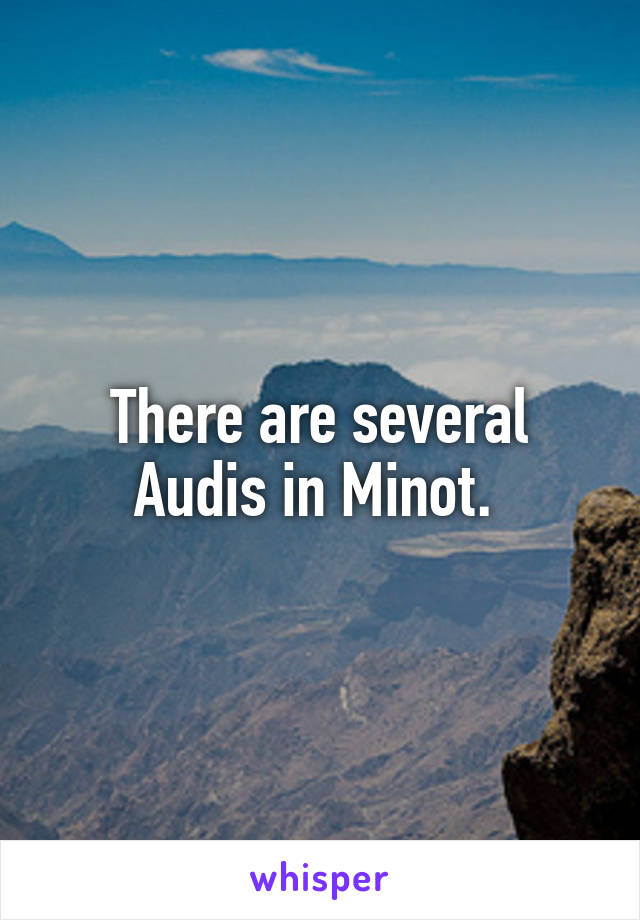 There are several Audis in Minot. 