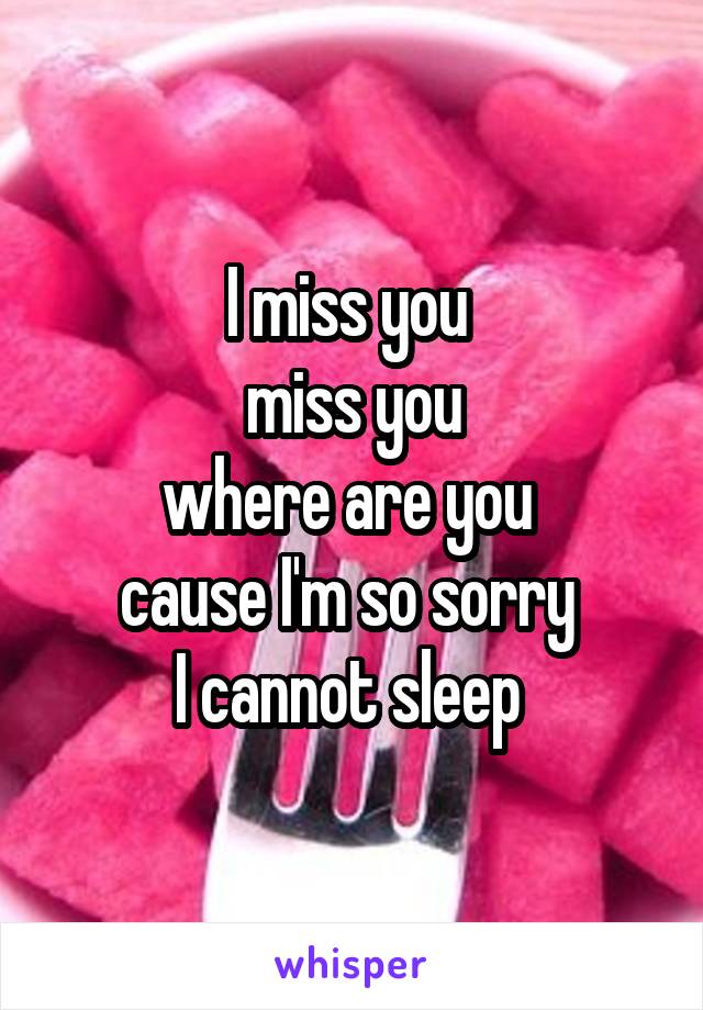 I miss you 
miss you
where are you 
cause I'm so sorry 
I cannot sleep 