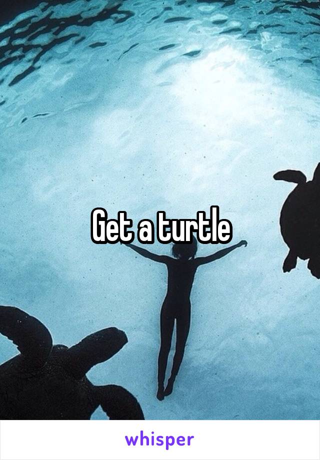 Get a turtle