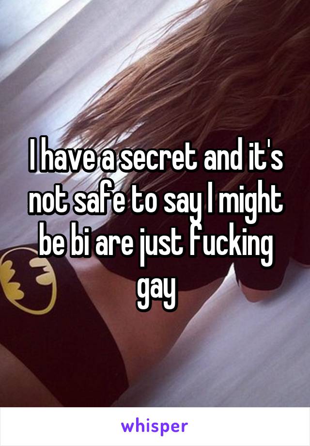 I have a secret and it's not safe to say I might be bi are just fucking gay