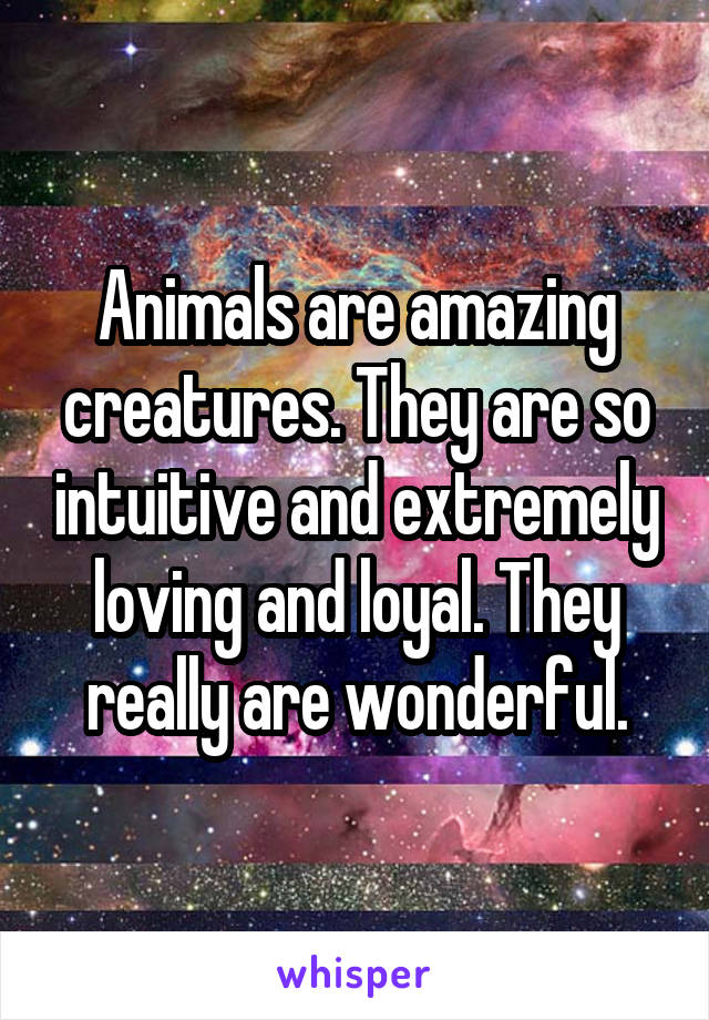 Animals are amazing creatures. They are so intuitive and extremely loving and loyal. They really are wonderful.