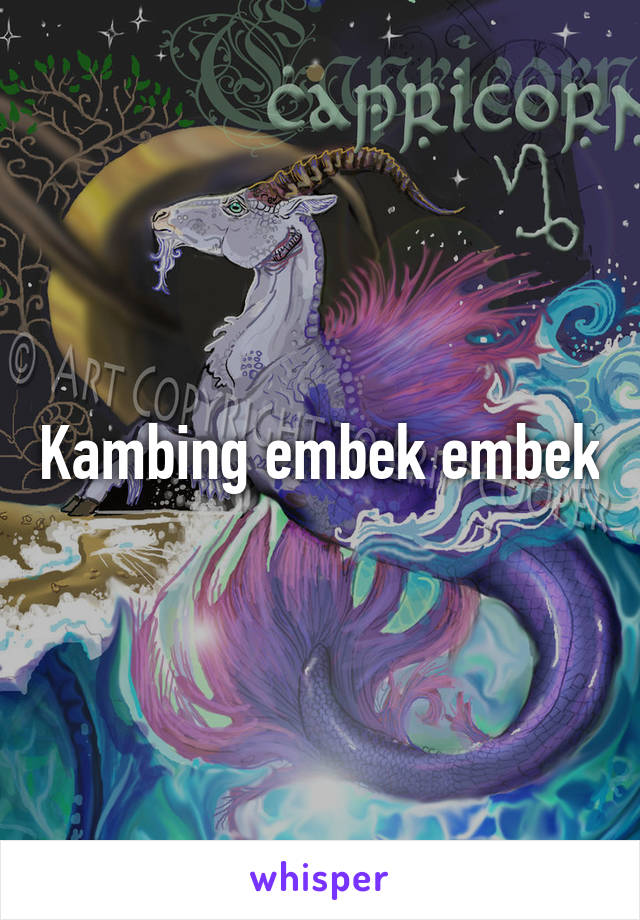 Kambing embek embek