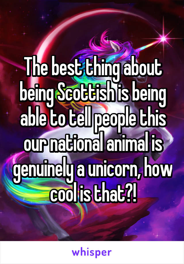 The best thing about being Scottish is being able to tell people this our national animal is genuinely a unicorn, how cool is that?!