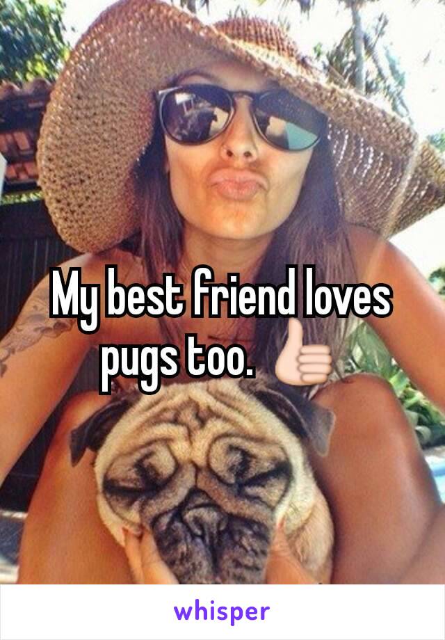 My best friend loves pugs too. 👍