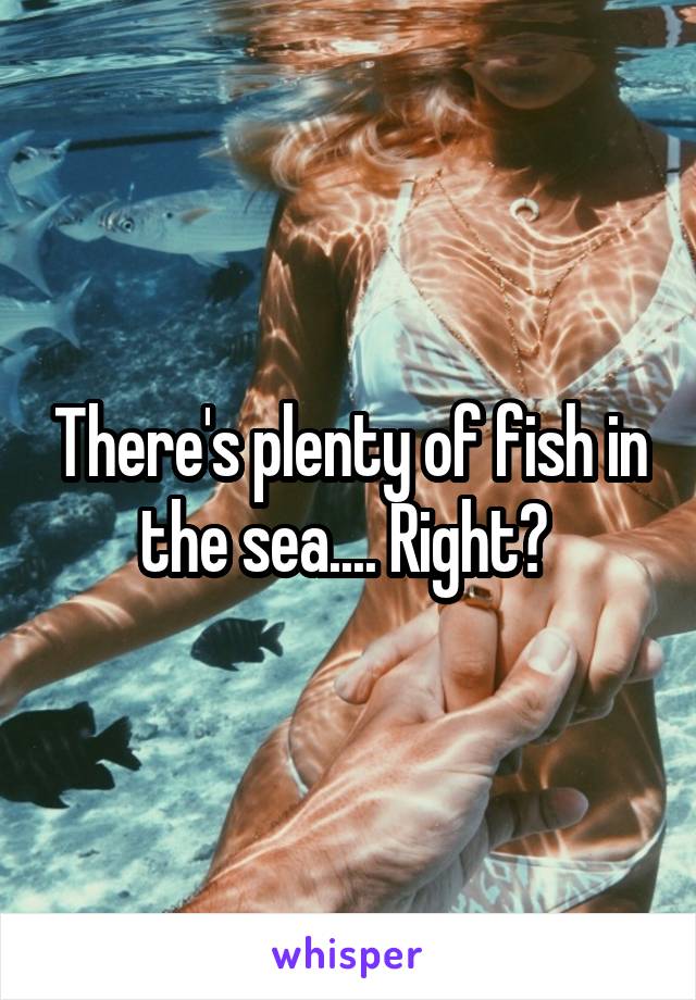 There's plenty of fish in the sea.... Right? 