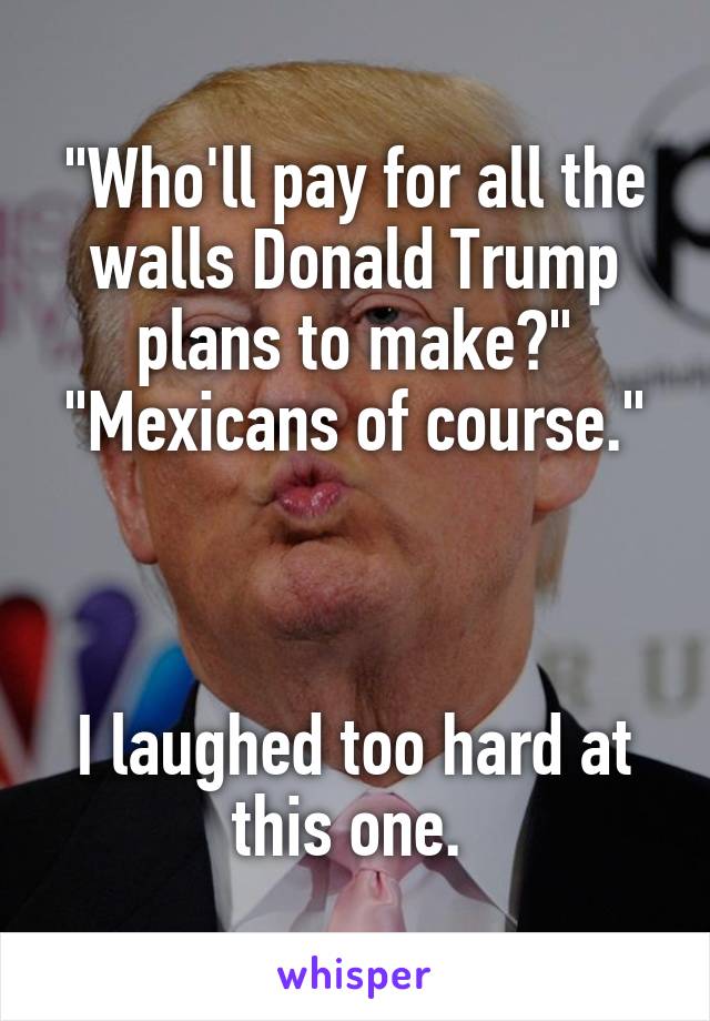 "Who'll pay for all the walls Donald Trump plans to make?" "Mexicans of course."



I laughed too hard at this one. 