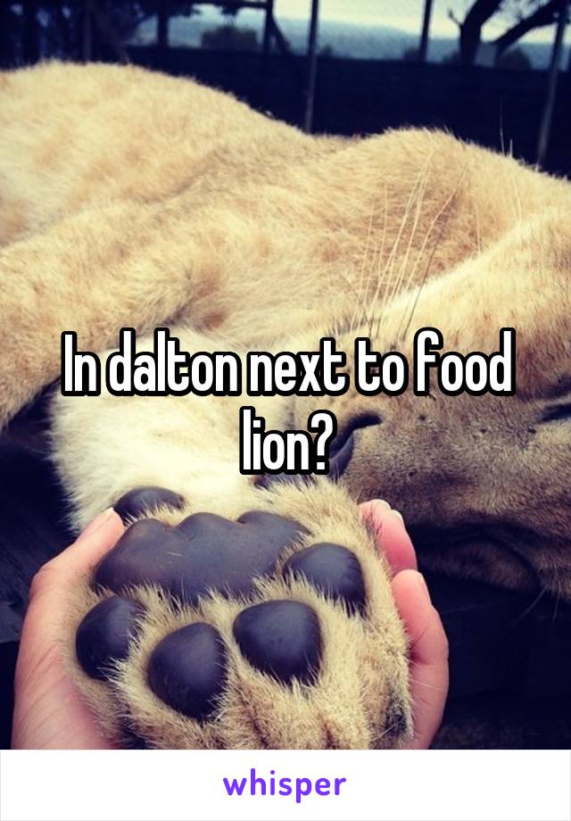 In dalton next to food lion?