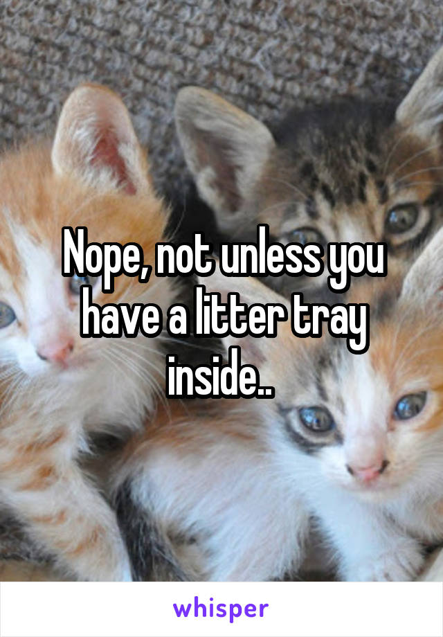 Nope, not unless you have a litter tray inside.. 