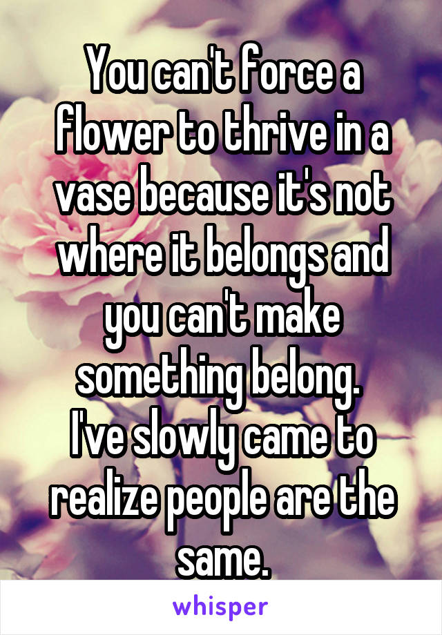 You can't force a flower to thrive in a vase because it's not where it belongs and you can't make something belong. 
I've slowly came to realize people are the same.