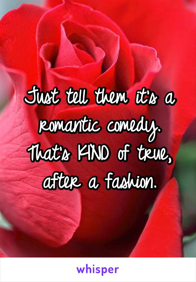 Just tell them it's a romantic comedy. That's KIND of true, after a fashion.
