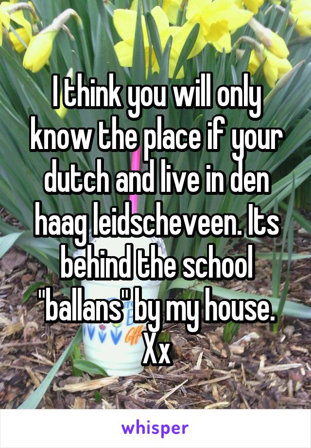 I think you will only know the place if your dutch and live in den haag leidscheveen. Its behind the school "ballans" by my house. Xx