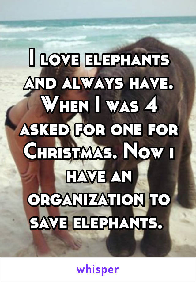 I love elephants and always have. When I was 4 asked for one for Christmas. Now i have an organization to save elephants. 