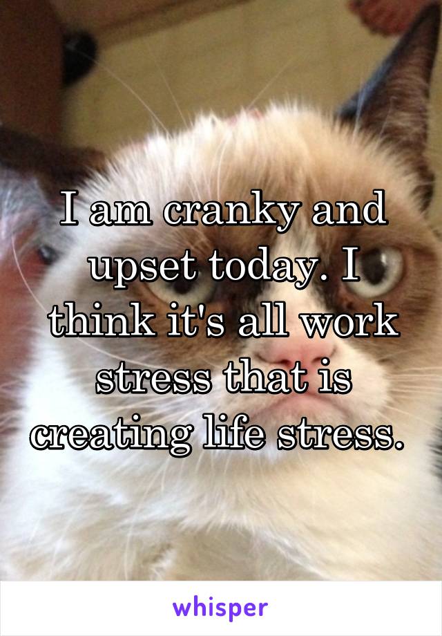 I am cranky and upset today. I think it's all work stress that is creating life stress. 