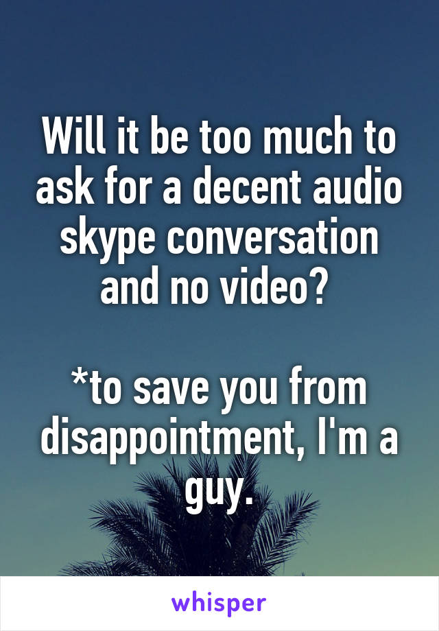 Will it be too much to ask for a decent audio skype conversation and no video? 

*to save you from disappointment, I'm a guy.