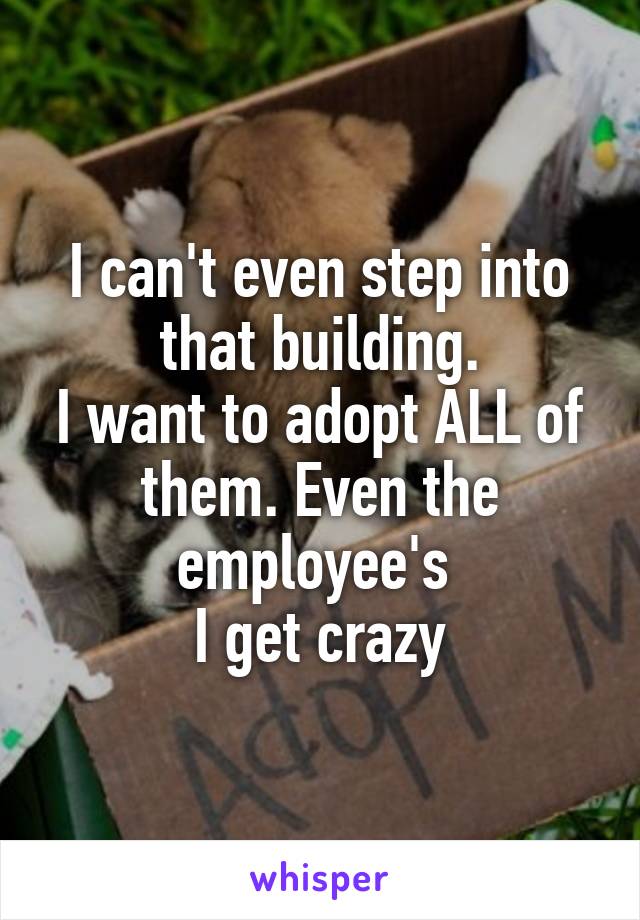 I can't even step into that building.
I want to adopt ALL of them. Even the employee's 
I get crazy