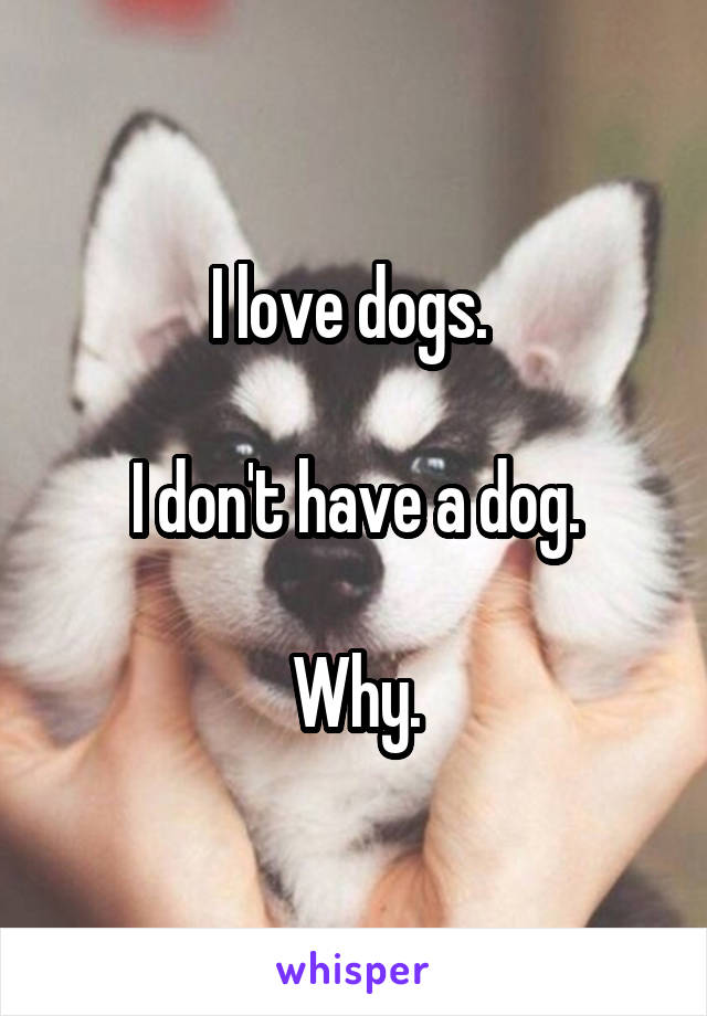 I love dogs. 

I don't have a dog.

Why.