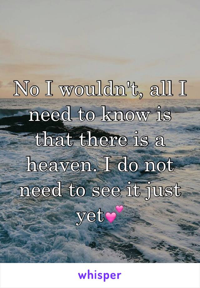 No I wouldn't, all I need to know is that there is a heaven. I do not need to see it just yet💕