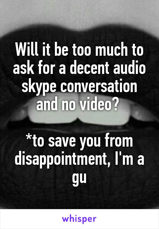 Will it be too much to ask for a decent audio skype conversation and no video? 

*to save you from disappointment, I'm a gu
