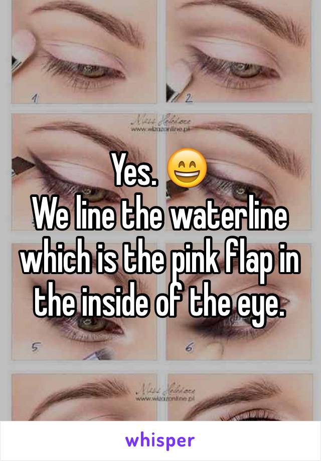 Yes. 😄
We line the waterline which is the pink flap in the inside of the eye. 