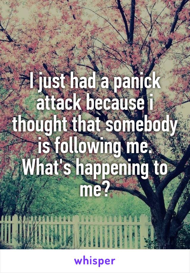 I just had a panick attack because i thought that somebody is following me. What's happening to me?