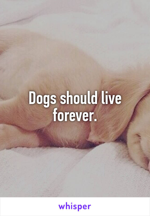 Dogs should live forever.