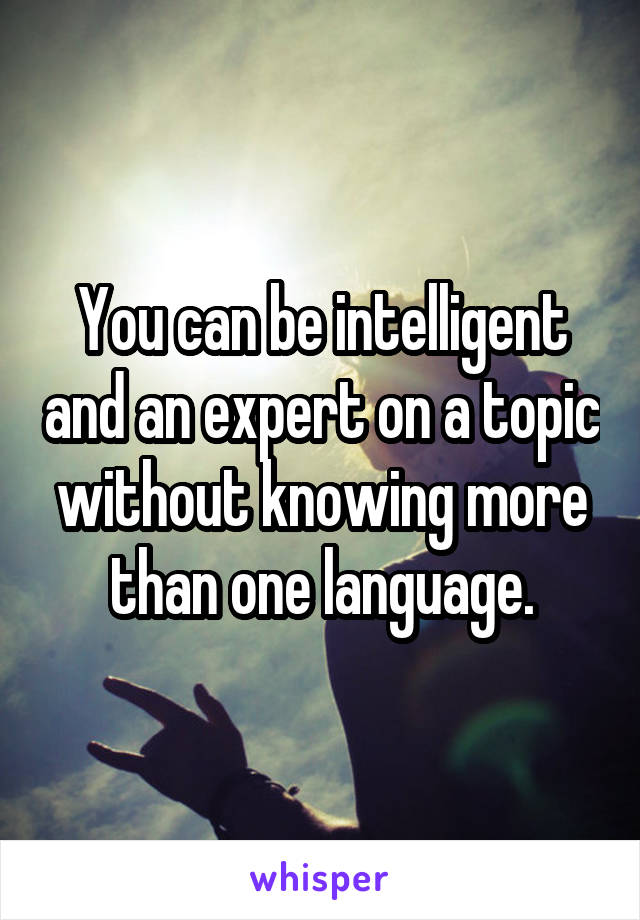 You can be intelligent and an expert on a topic without knowing more than one language.