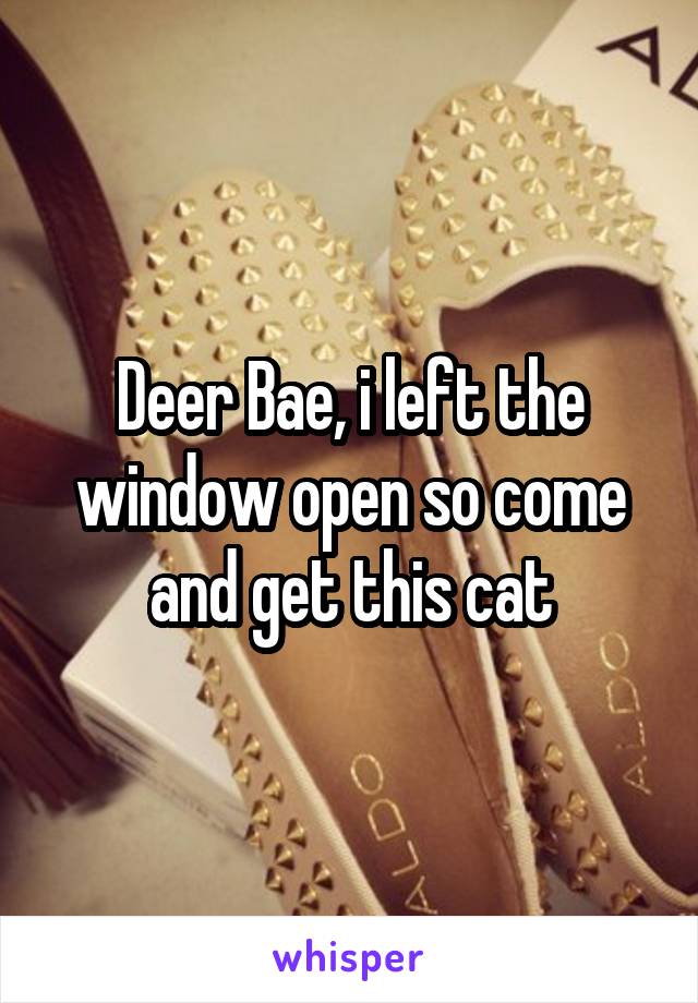 Deer Bae, i left the window open so come and get this cat