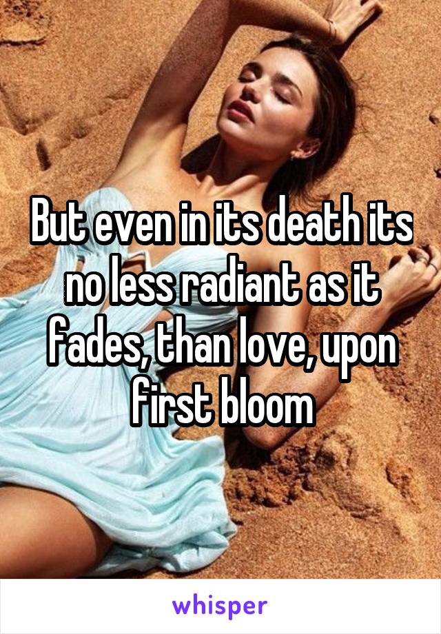 But even in its death its no less radiant as it fades, than love, upon first bloom