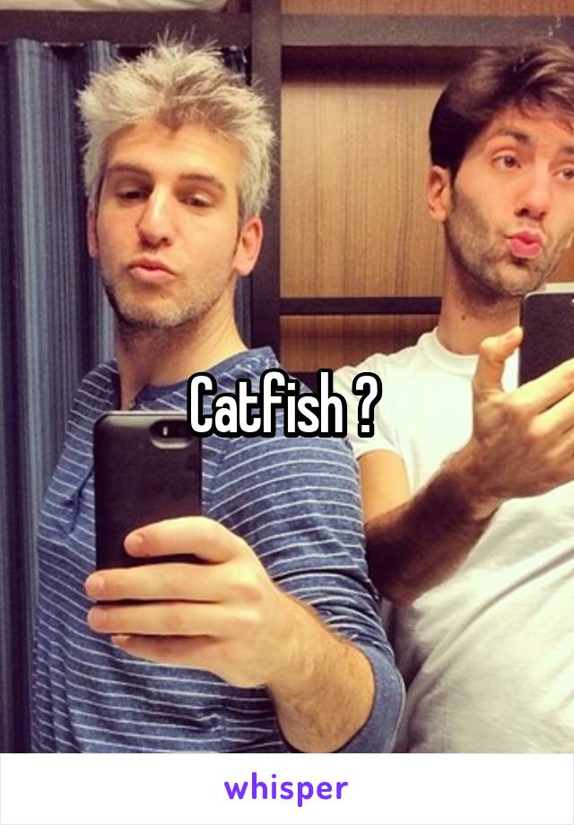 Catfish ? 