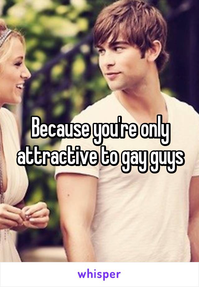 Because you're only attractive to gay guys