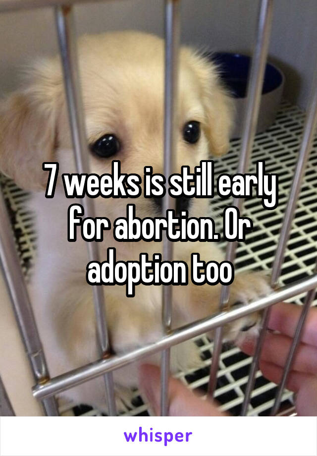 7 weeks is still early for abortion. Or adoption too