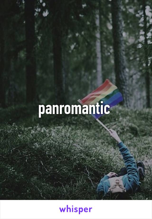 panromantic 