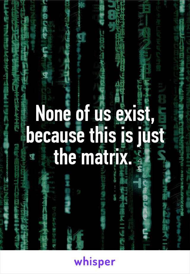 None of us exist, because this is just the matrix. 