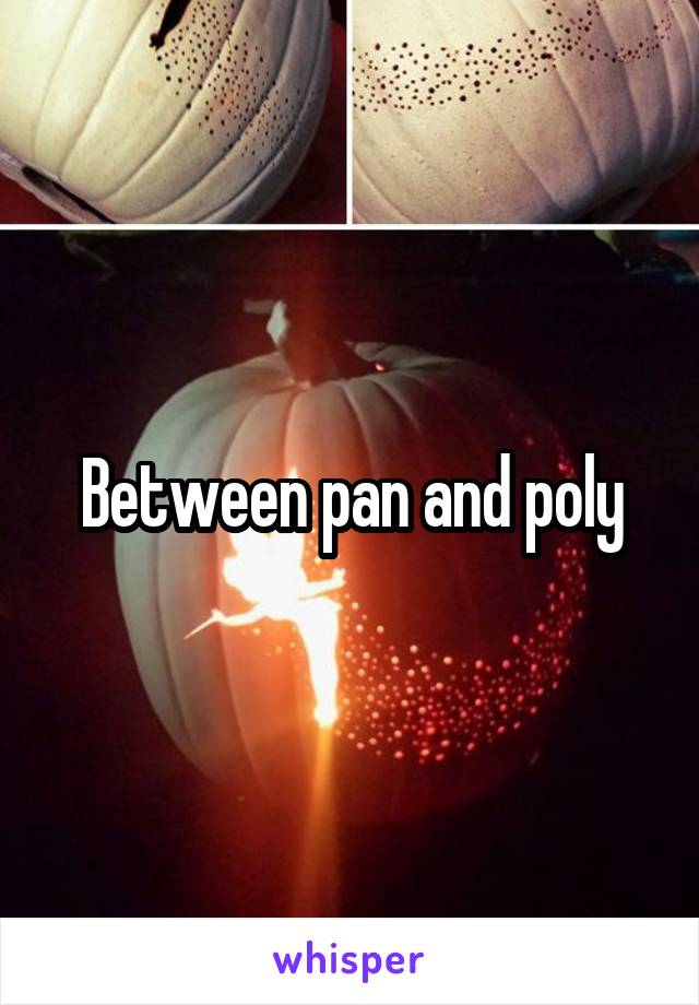 Between pan and poly