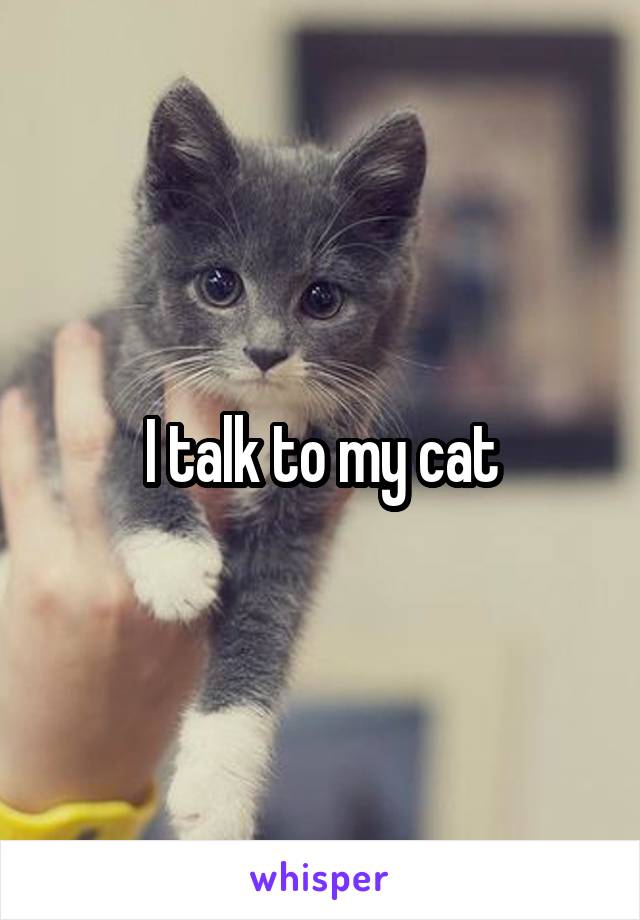 I talk to my cat