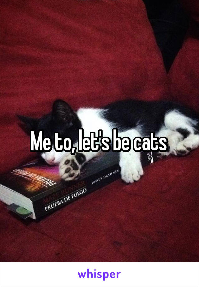 Me to, let's be cats 