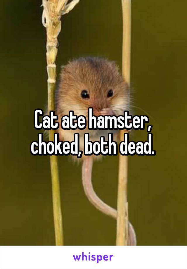 Cat ate hamster,  choked, both dead. 