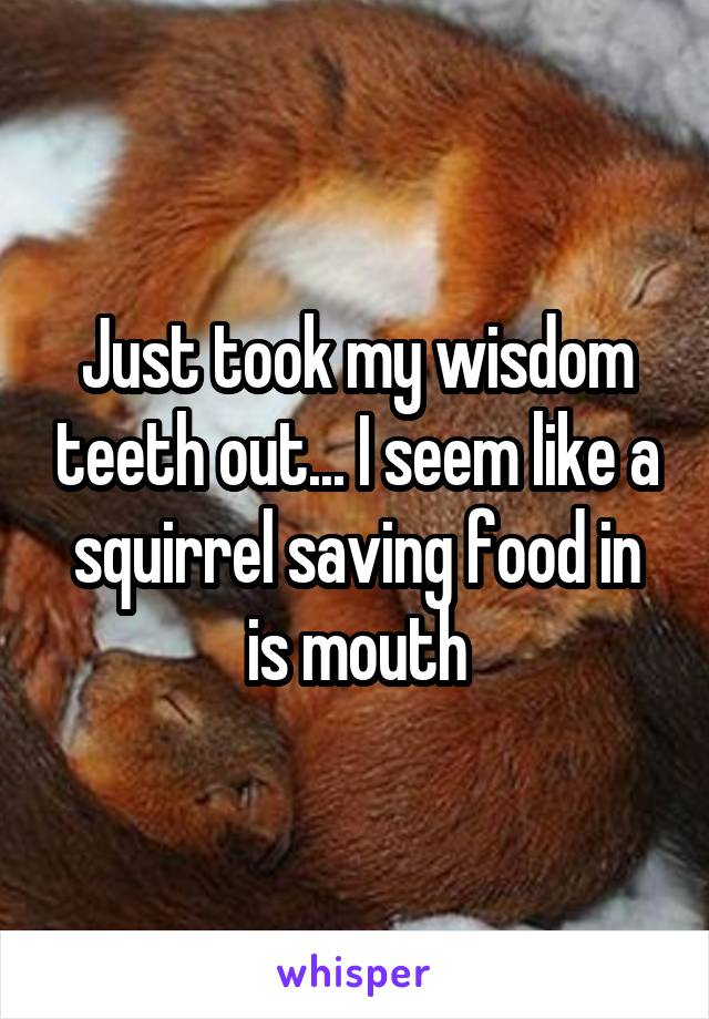 Just took my wisdom teeth out... I seem like a squirrel saving food in is mouth
