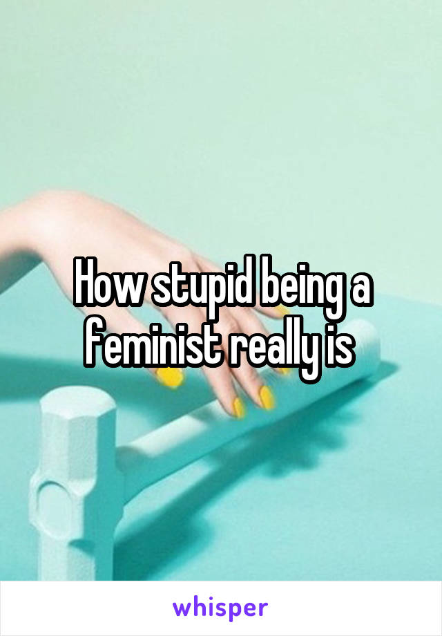 How stupid being a feminist really is 
