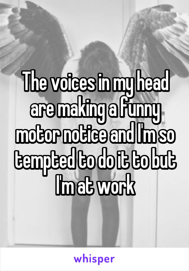 The voices in my head are making a funny motor notice and I'm so tempted to do it to but I'm at work