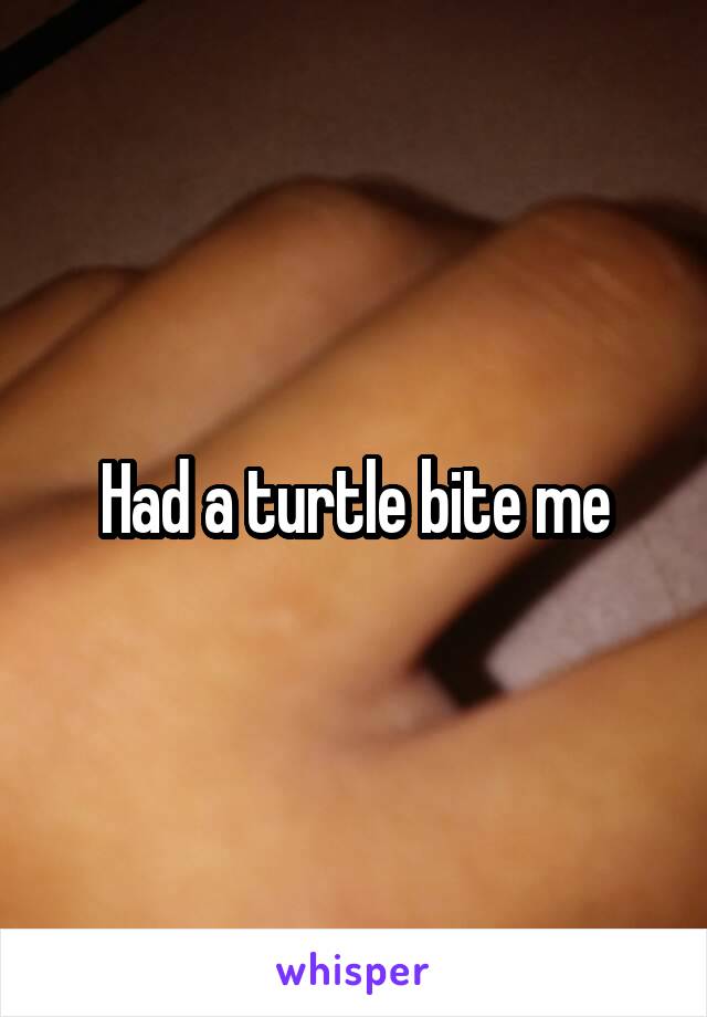 Had a turtle bite me