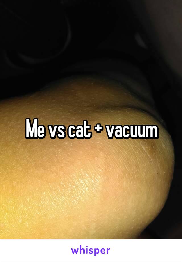 Me vs cat + vacuum