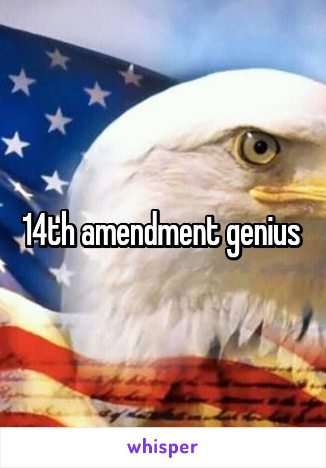 14th amendment genius 