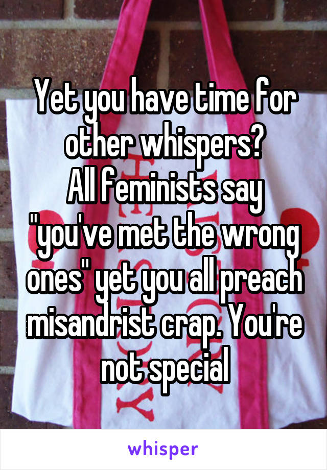 Yet you have time for other whispers?
All feminists say "you've met the wrong ones" yet you all preach misandrist crap. You're not special