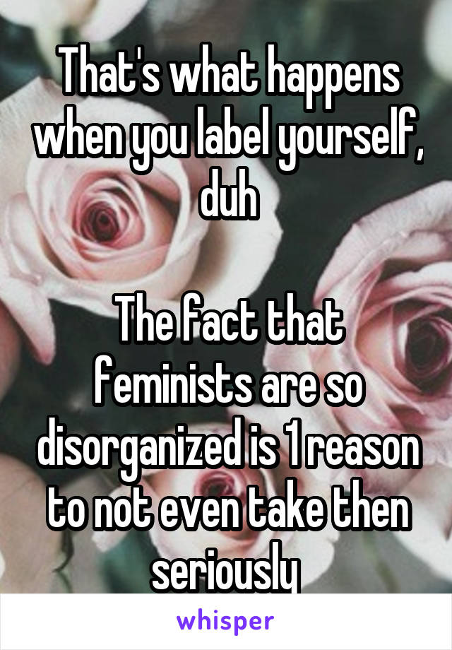 That's what happens when you label yourself, duh

The fact that feminists are so disorganized is 1 reason to not even take then seriously 