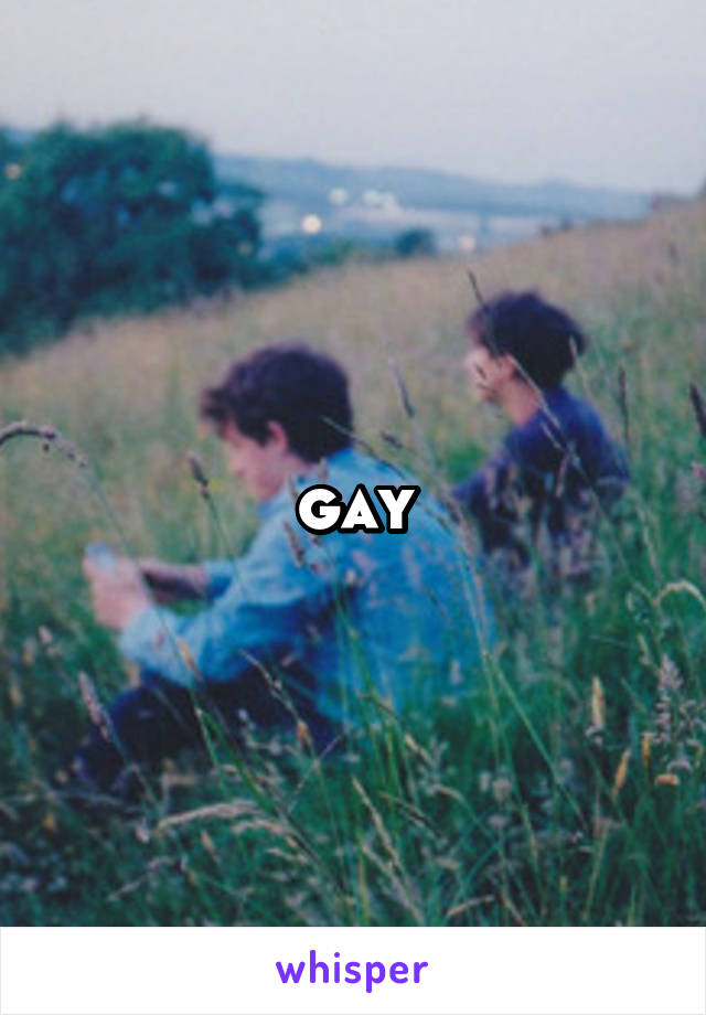 gay