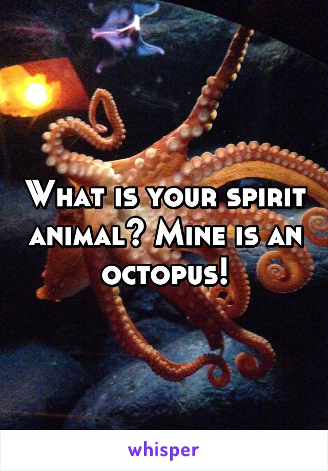 What is your spirit animal? Mine is an octopus!