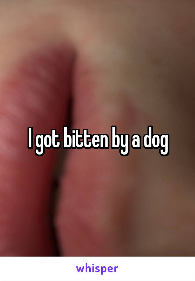 I got bitten by a dog