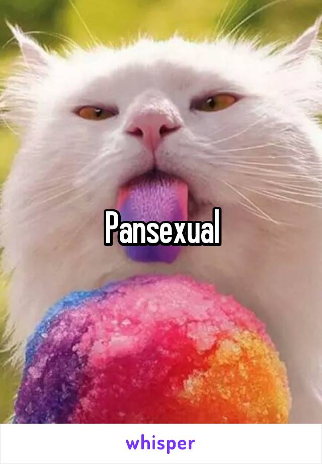 Pansexual