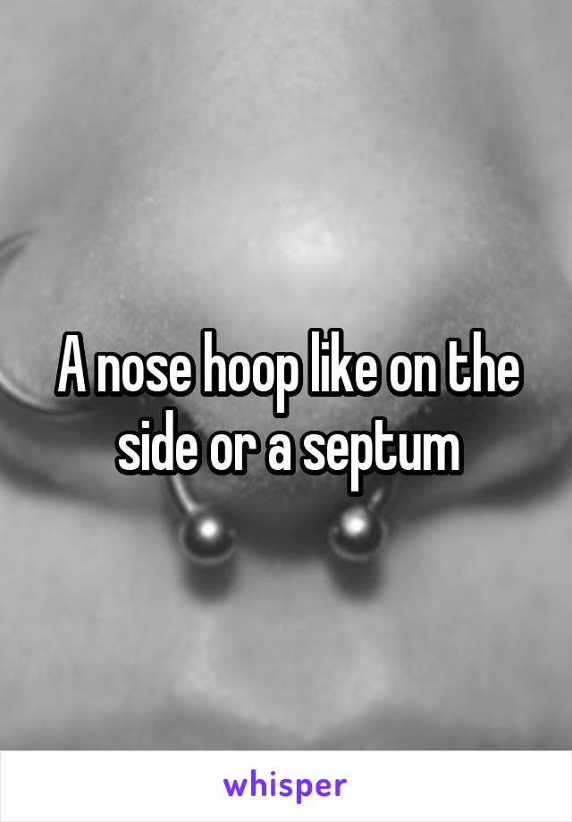 A nose hoop like on the side or a septum